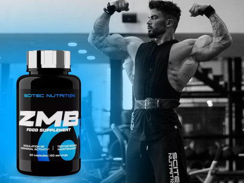 Scitec Nutrition ZMB – 60 Kapseln | Zink, Magnesium & Vitamin B6 - NirooX NutritionNirooX Nutrition